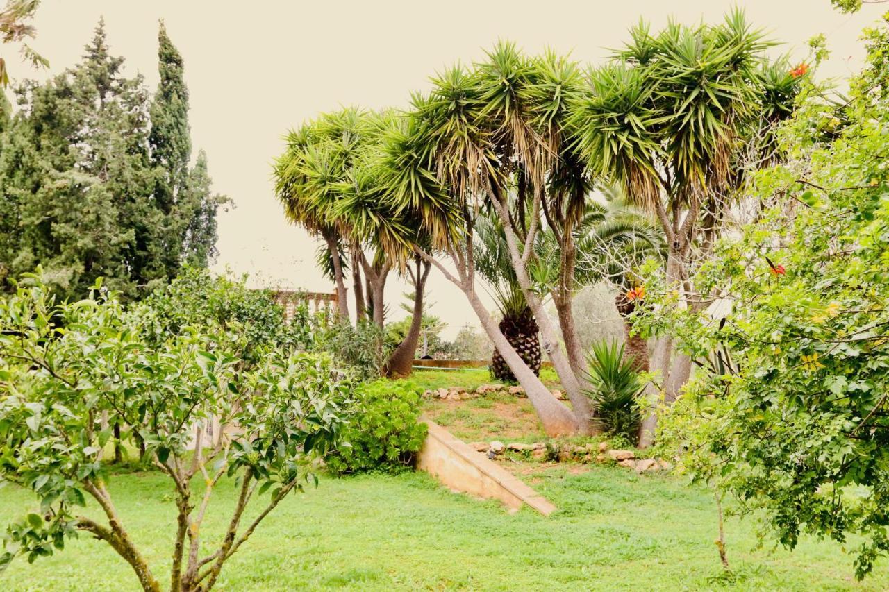 Finca Randa, Llucmayor, Bis 3 Sz, Pool, Garten リュックマヨール エクステリア 写真