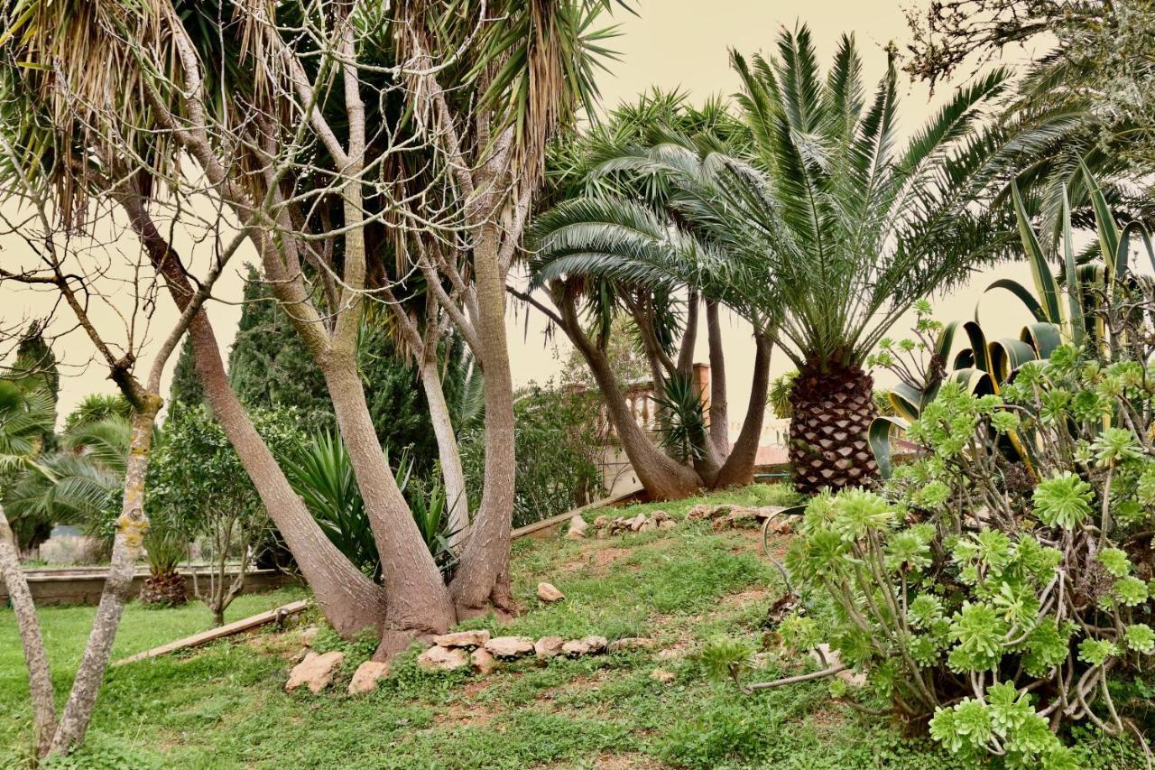 Finca Randa, Llucmayor, Bis 3 Sz, Pool, Garten リュックマヨール エクステリア 写真