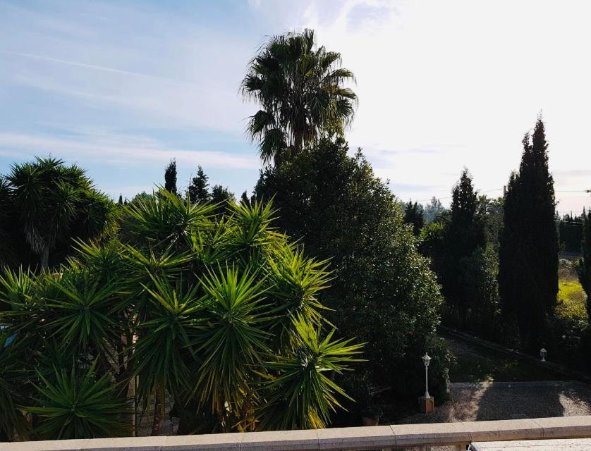 Finca Randa, Llucmayor, Bis 3 Sz, Pool, Garten リュックマヨール エクステリア 写真